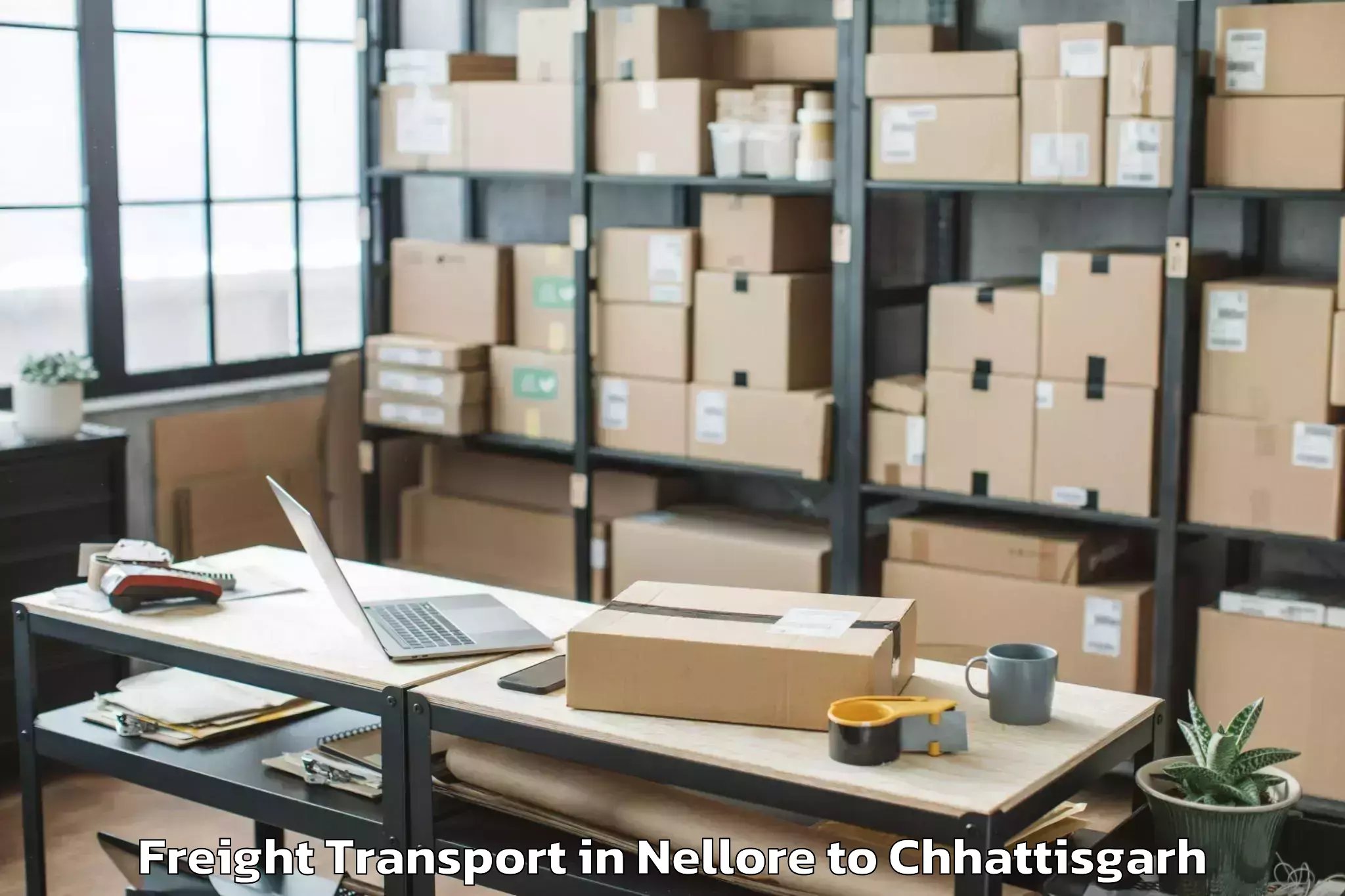 Top Nellore to Mats University Aarang Freight Transport Available